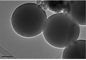 functionalized magnetic nanoparticles
