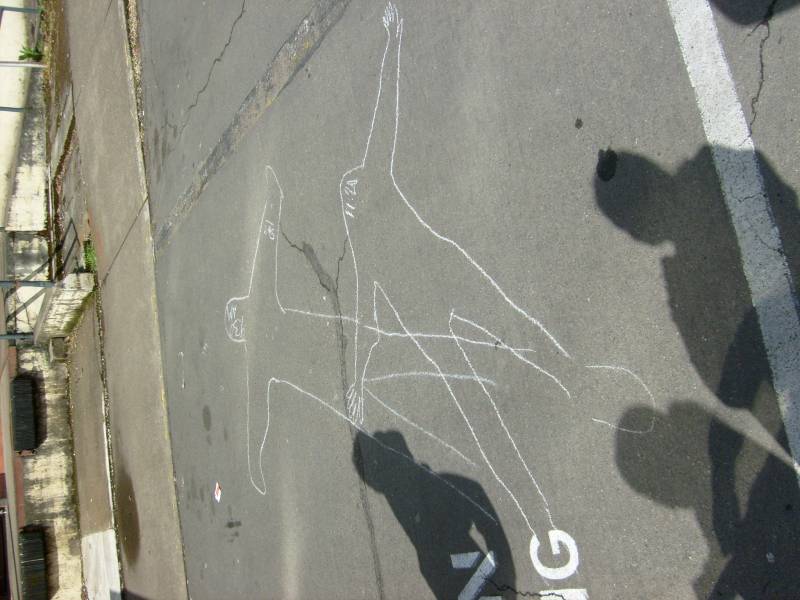 s6300271.jpg s6300271.jpg