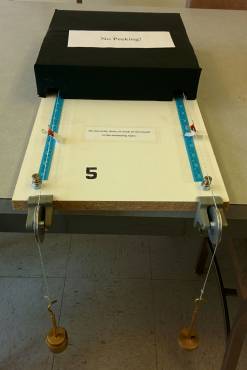 The Black Box: NO PEEKING! The Black Box: NO PEEKING!