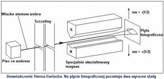 spsgexperiment.jpg spsgexperiment.jpg