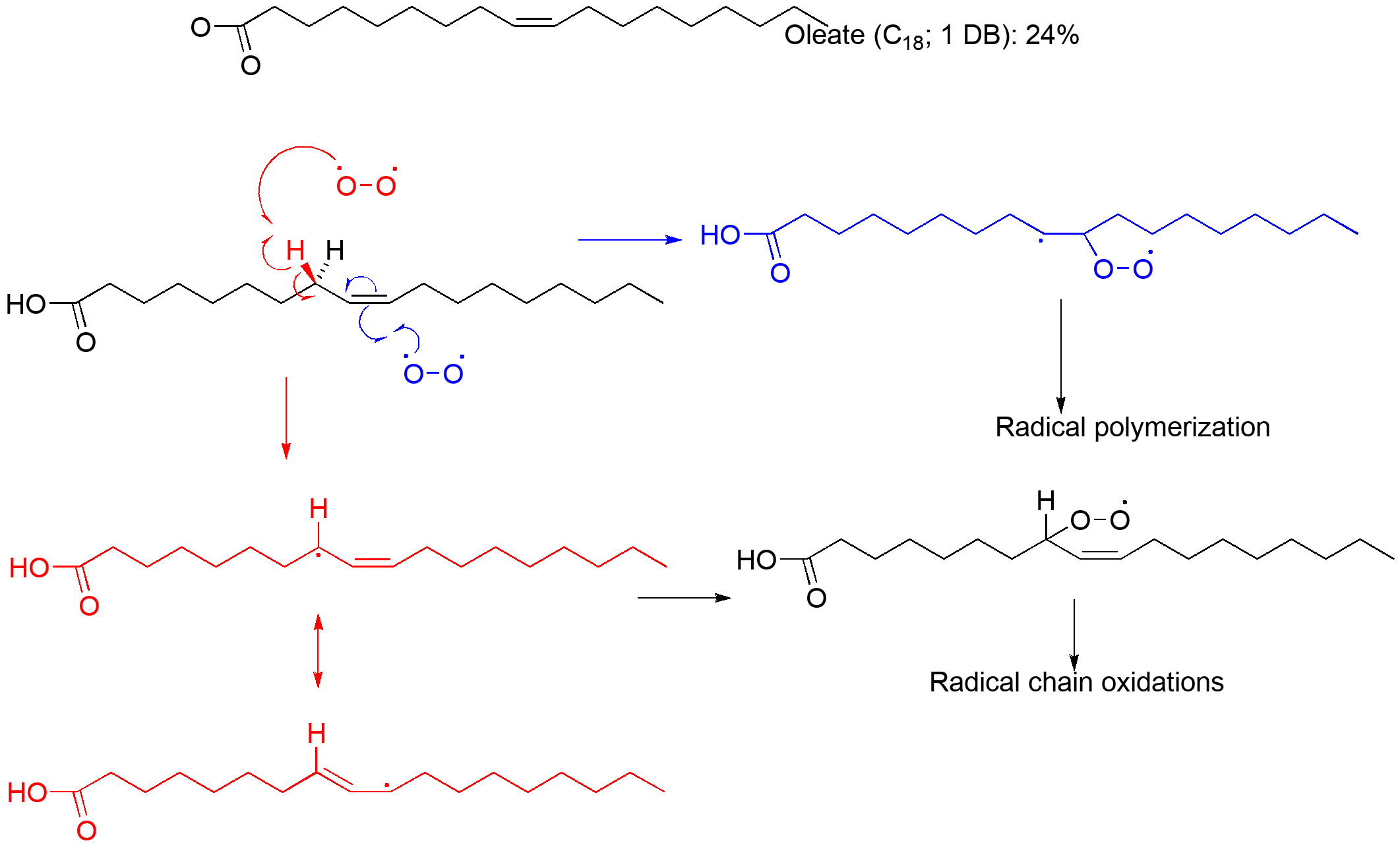 Radical reactions of O2 with the alkene in oleic acid.  Radical addition can lead to polymerization if the alkene concentration is high.  The alternative is C-H abstraction to make an allyl radical; this can add another O2 to make a C-O bond.  This sets up a cascade leading to oxidation of the alkyl chain and multiple products.