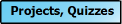 Projects and Quizzes