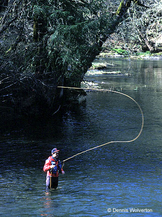 Or if a more soothing water sport is for you, you can spend a day fishing for steelhead.