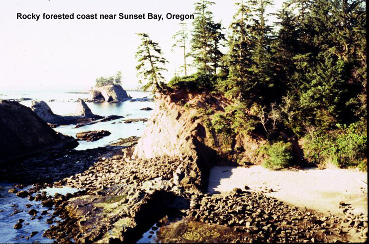 rocky forested coast near Sunset Bay, Oregon
