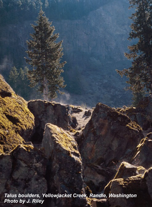 Talus boulders, Yellowjacket Creek, Randle, Washington