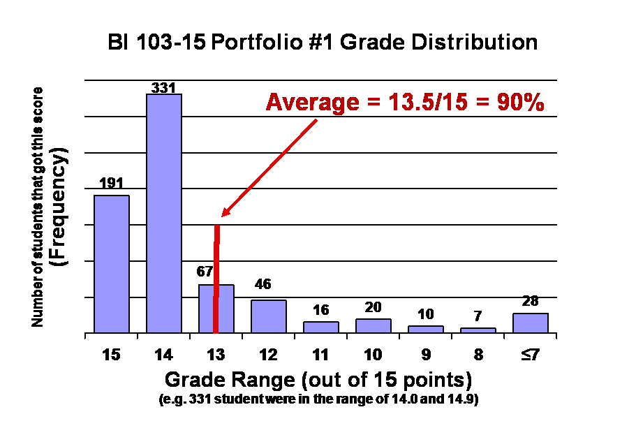 Portfolio 1 frequency