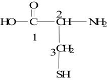 ole10.gif