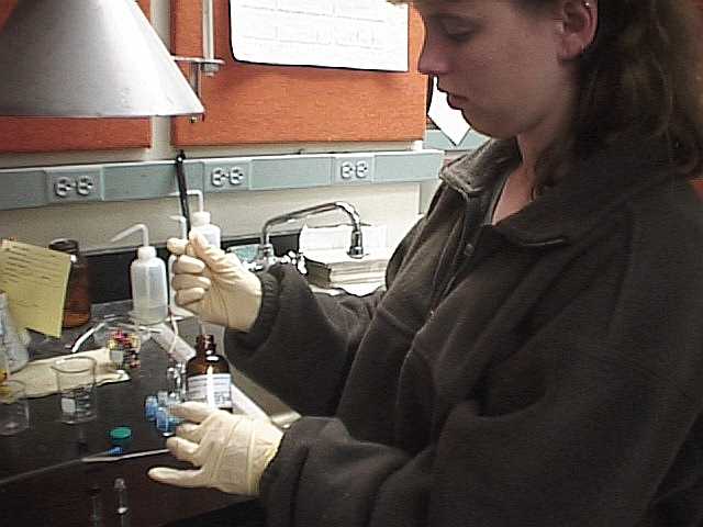 solventdisp1.jpg (31441 bytes)