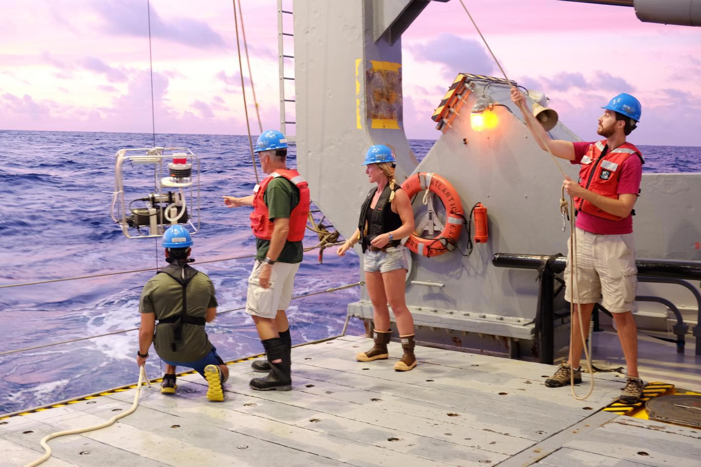 Phytoplankton researchers from Oregon State University on the Sargasso Sea. Credit: Steve Giovannoni