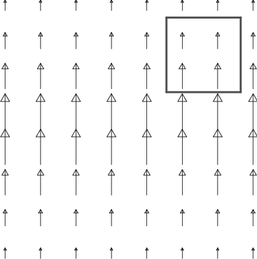 expy1.png