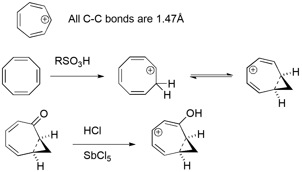 Comparison between the tropylium cation (C7H7+: planar, with all C-C bonds 1.47 angstrom) and protonated cyclooctatetraene (homotropylium) and a structurally characterized version made from protonating a bicyclic ketone