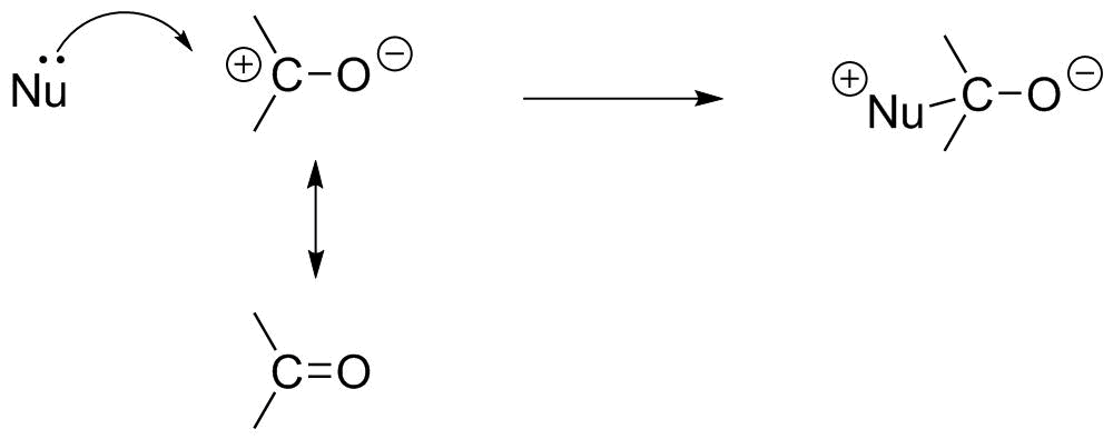 C=O resonance structures place a partial positive charge on carbon; this attracts electron density from a nucleophile.