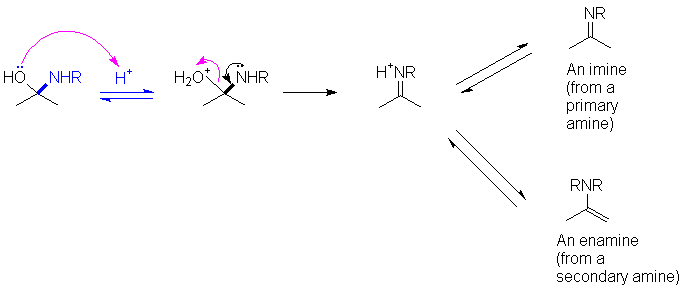 reac6.gif (5839 bytes).  Proton catalysis of C=N bond formation.