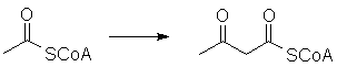 AcAcCoA.gif (2139 bytes) Self-reaction gives an acetylacetyl group.