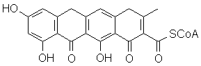 polyketide_3.gif (2761 bytes) An example is tetracylcine.