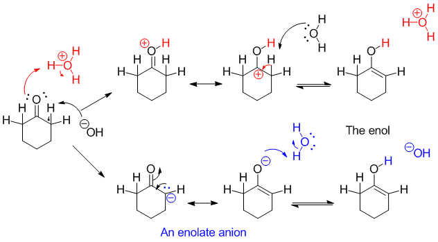 Top: Acid catalysis forms an enol by adding a proton to O, followed by loss of H+ from C.  Bottom:  Base catalysis removes a proton from the alpha carbon to form an enolate, which can be protonated at oxygen to form the enol.