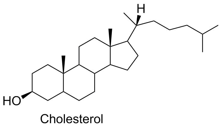 cholesterol structure