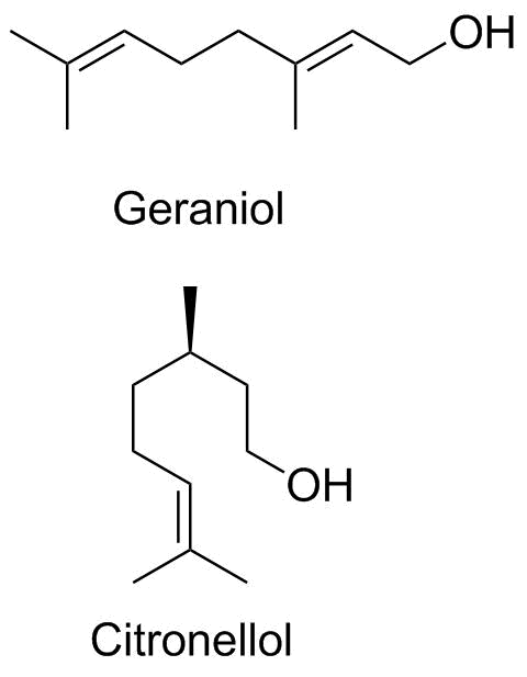 Geraniol and citronellol structures