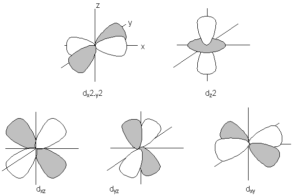 Evans Method for Paramagnetic Susceptibility