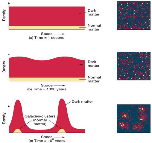 What does the large scale structure of the universe look like? Explain why  we think this structure reflects the density patterns of the early  universe.