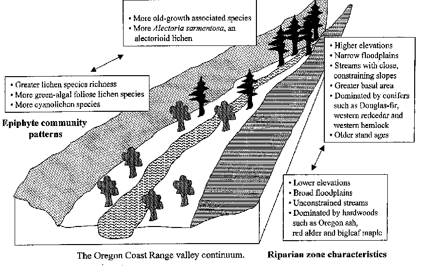 The Oregon Coast Range
 valley continuum