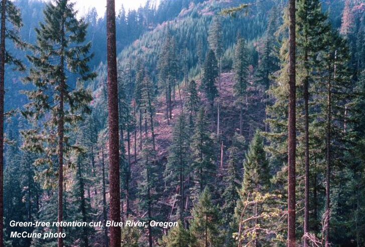 Green-tree retention cut, Blue River, Oregon