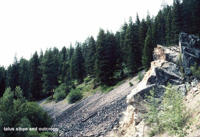 talus slope and outcrops